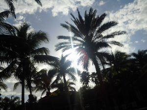 naples fl swfl